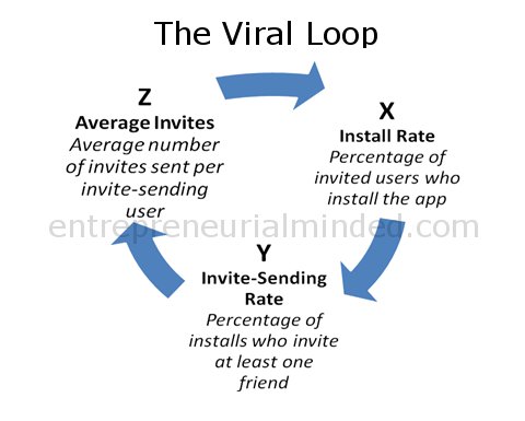 The Viral Loop The Viral Loop